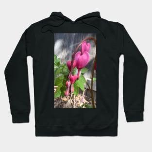 Pink Bleeding Hearts Hoodie